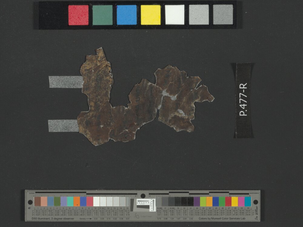 4Q Reworked Pentateuch b (Scan 1) showing Numbers 33:39 from c. 75–50 BC found in Qumran, Cave 4, currently housed at Rockefeller Museum, Jerusalem