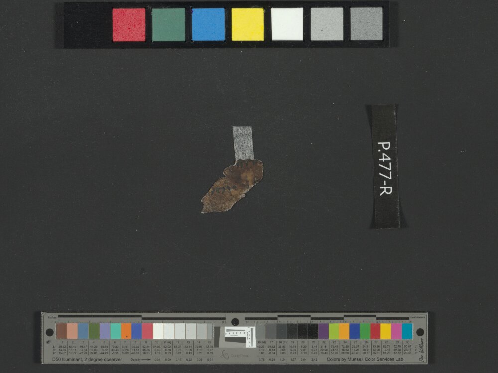 4Q Reworked Pentateuch b (Scan 2) showing Numbers 33:39 from c. 75–50 BC found in Qumran, Cave 4, currently housed at Rockefeller Museum, Jerusalem
