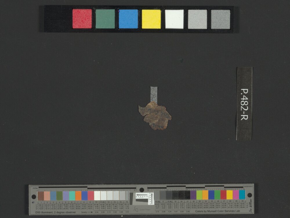 4Q Reworked Pentateuch b (Scan 2) showing Numbers 20:18 from c. 75–50 BC found in Qumran, Cave 4, currently housed at Rockefeller Museum, Jerusalem
