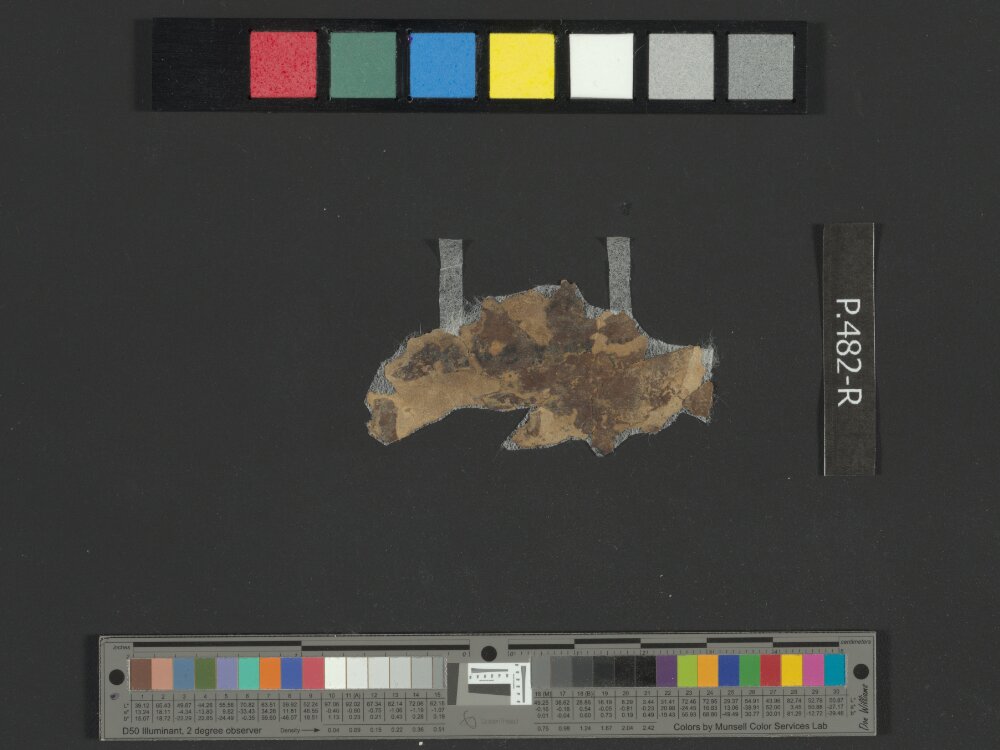 4Q Reworked Pentateuch b (Scan 3) showing Numbers 20:18 from c. 75–50 BC found in Qumran, Cave 4, currently housed at Rockefeller Museum, Jerusalem