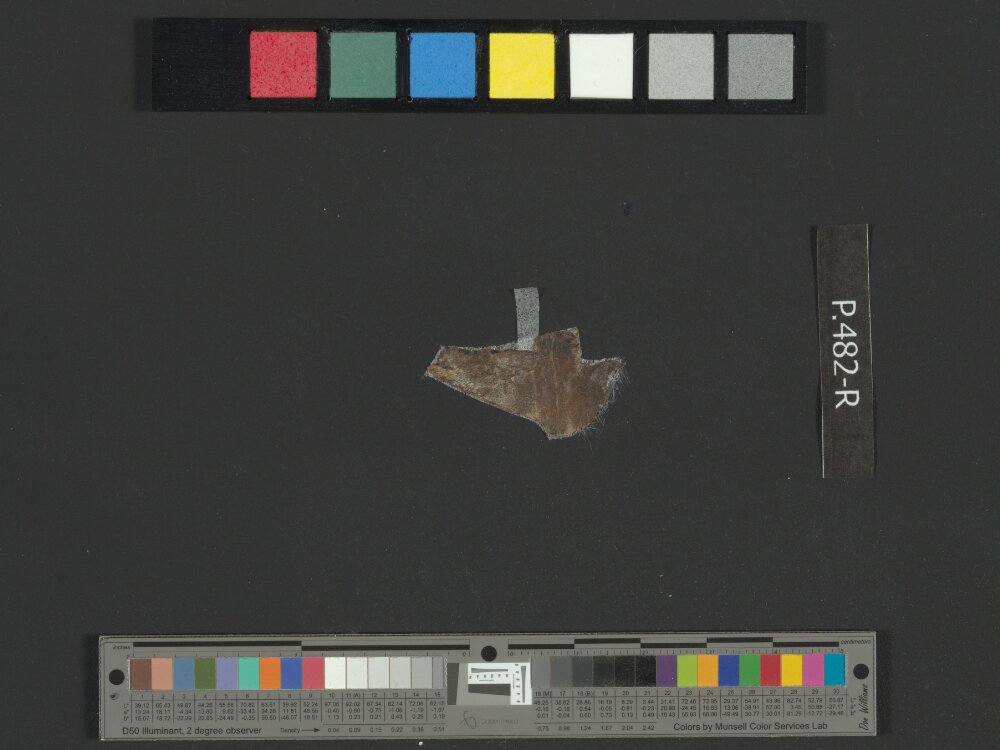 4Q Reworked Pentateuch b (Scan 1) showing Deuteronomy 1:21 from c. 75–50 BC found in Qumran, Cave 4, currently housed at Rockefeller Museum, Jerusalem