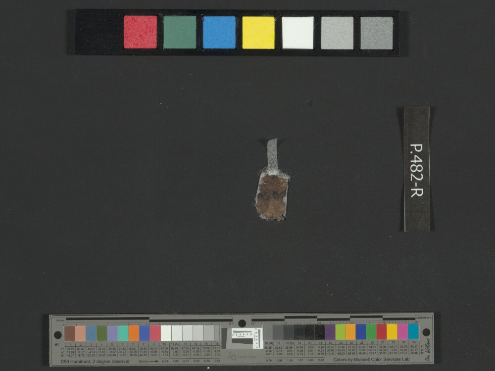 4Q Reworked Pentateuch b (Scan 2) showing Deuteronomy 1:21 from c. 75–50 BC found in Qumran, Cave 4, currently housed at Rockefeller Museum, Jerusalem