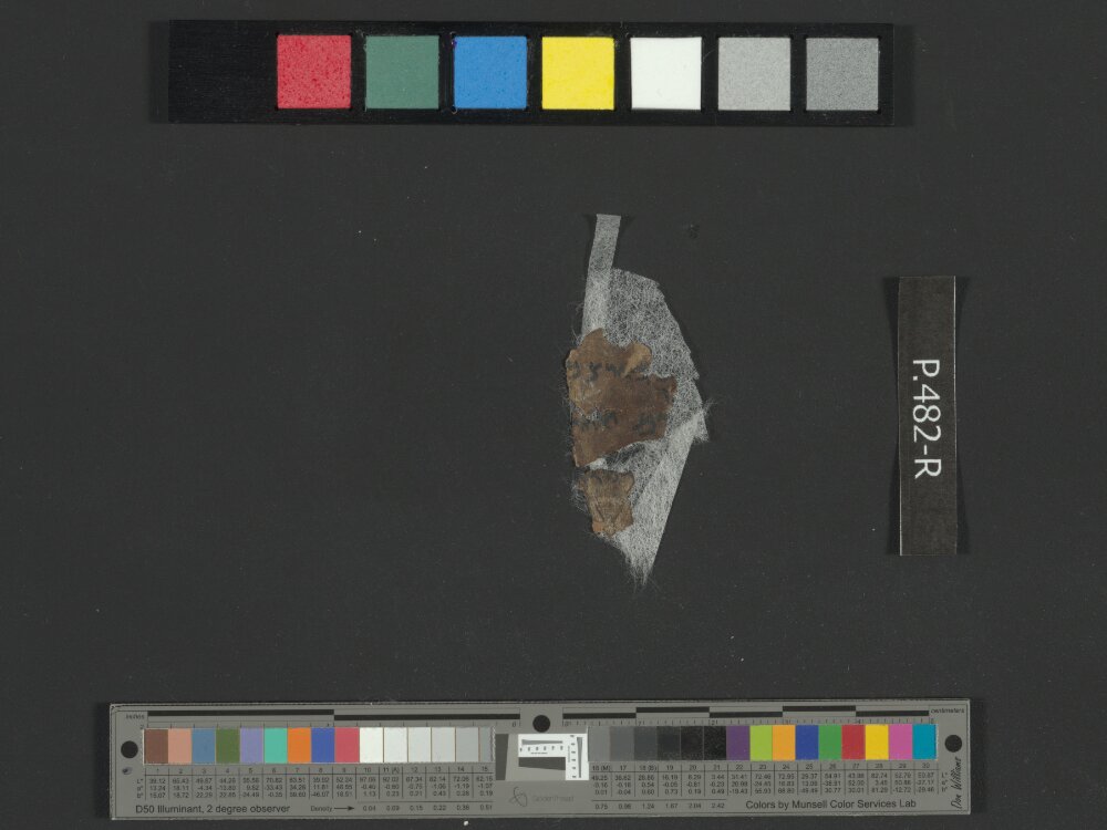 4Q Reworked Pentateuch b (Scan 4) showing Deuteronomy 1:21 from c. 75–50 BC found in Qumran, Cave 4, currently housed at Rockefeller Museum, Jerusalem