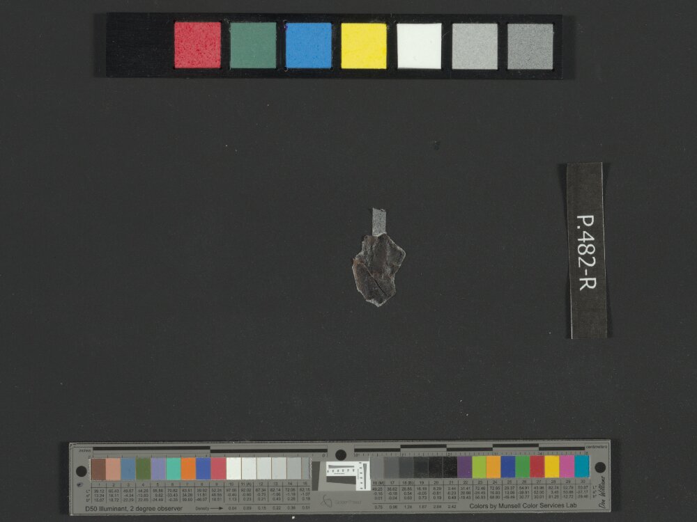 4Q Reworked Pentateuch b (Scan 6) showing Deuteronomy 1:21 from c. 75–50 BC found in Qumran, Cave 4, currently housed at Rockefeller Museum, Jerusalem