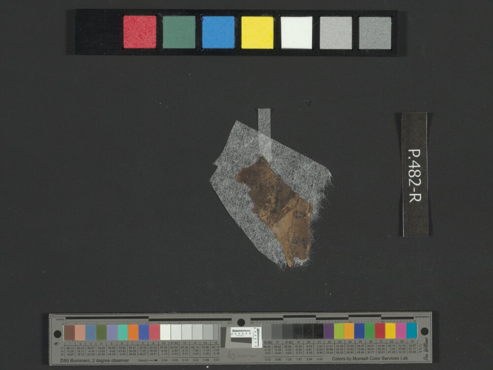 4Q Reworked Pentateuch b (Scan 10) showing Deuteronomy 1:21 from c. 75–50 BC found in Qumran, Cave 4, currently housed at Rockefeller Museum, Jerusalem