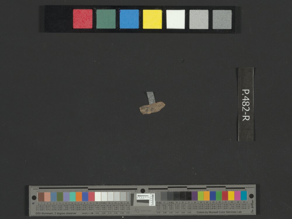 4Q Reworked Pentateuch b (Scan 11) showing Deuteronomy 1:21 from c. 75–50 BC found in Qumran, Cave 4, currently housed at Rockefeller Museum, Jerusalem