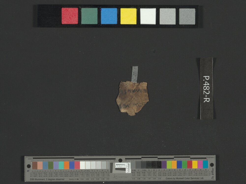 4Q Reworked Pentateuch b (Scan 1) showing Deuteronomy 2:13 from c. 75–50 BC found in Qumran, Cave 4, currently housed at Rockefeller Museum, Jerusalem