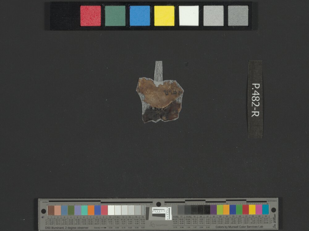4Q Reworked Pentateuch b (Scan 3) showing Deuteronomy 2:13 from c. 75–50 BC found in Qumran, Cave 4, currently housed at Rockefeller Museum, Jerusalem