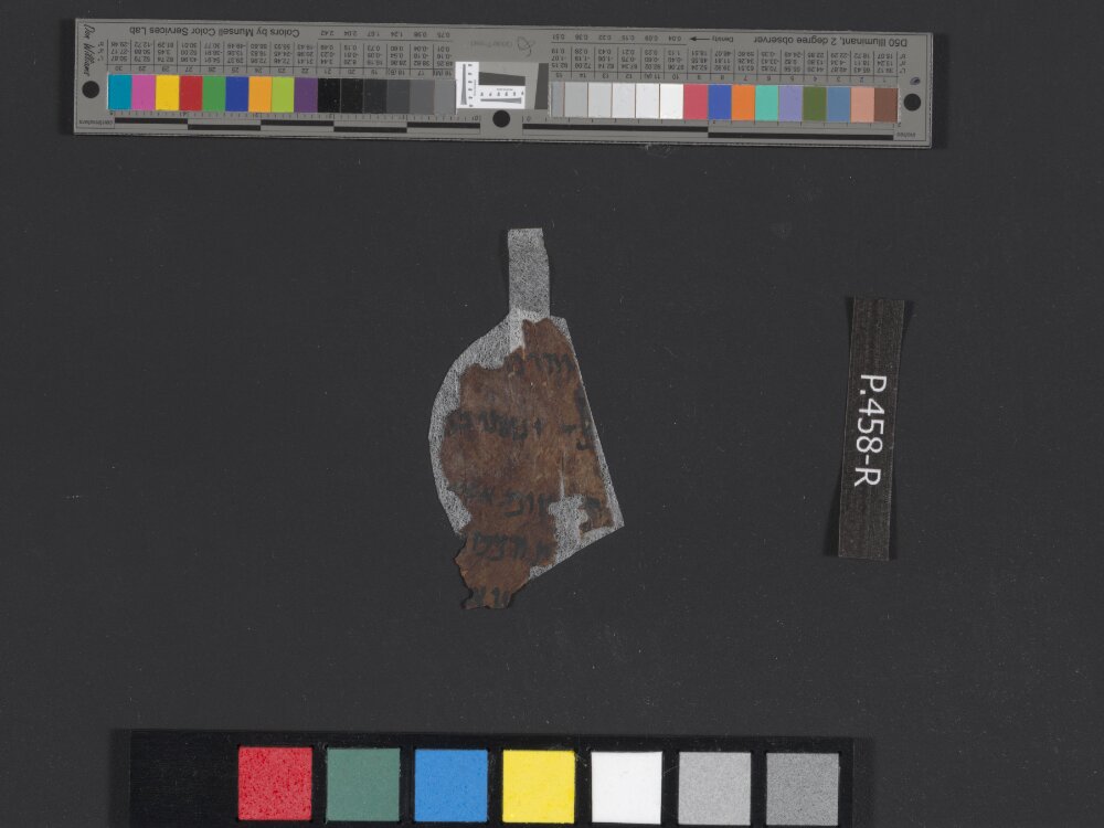 4Q Reworked Pentateuch b showing Deuteronomy 14:24 from c. 75–50 BC found in Qumran, Cave 4, currently housed at Rockefeller Museum, Jerusalem