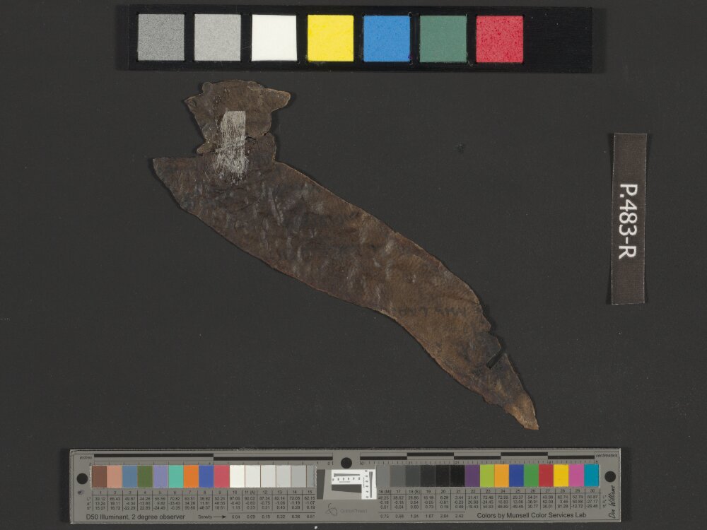 4Q Reworked Pentateuch b (Scan 3) showing Genesis 30:32 from c. 75–50 BC found in Qumran, Cave 4, currently housed at Rockefeller Museum, Jerusalem