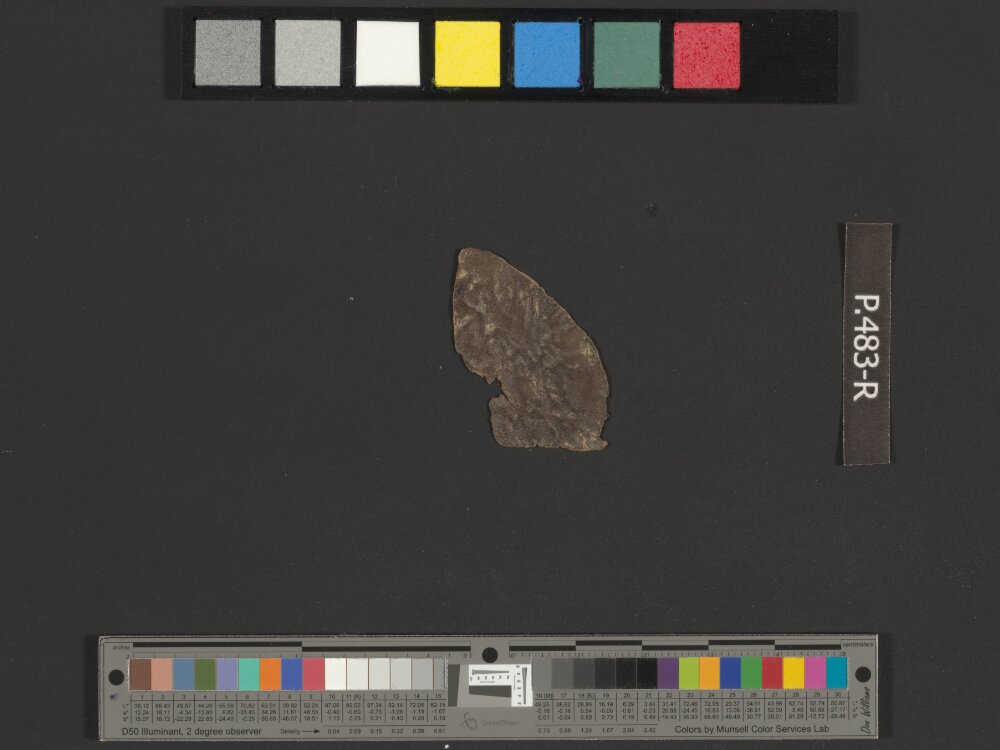 4Q Reworked Pentateuch b (Scan 4) showing Genesis 30:32 from c. 75–50 BC found in Qumran, Cave 4, currently housed at Rockefeller Museum, Jerusalem