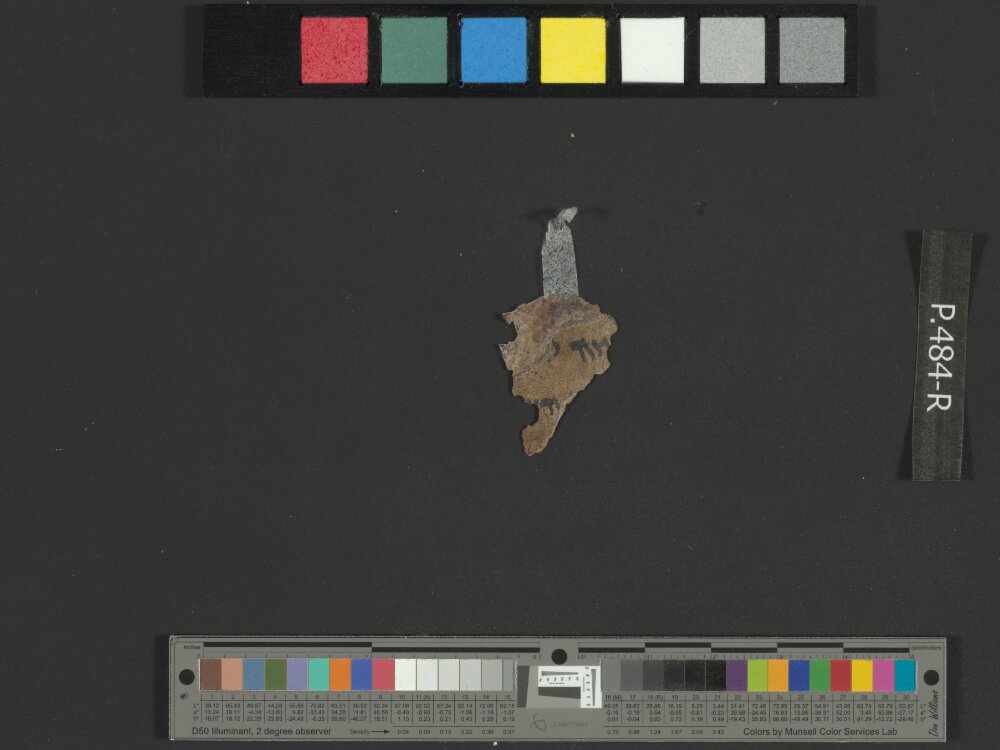 4Q Reworked Pentateuch b (Scan 2) showing Genesis 32:19 from c. 75–50 BC found in Qumran, Cave 4, currently housed at Rockefeller Museum, Jerusalem