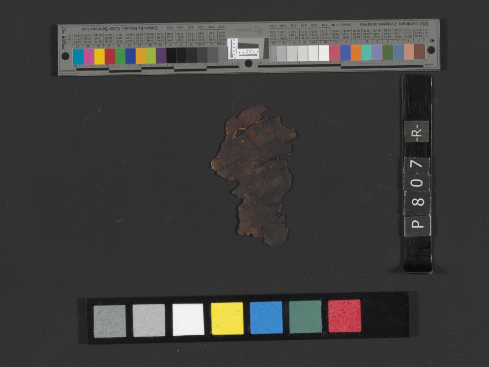 4Q Reworked Pentateuch c showing Leviticus 11:22 from c. 75–50 BC found in Qumran, Cave 4, currently housed at Rockefeller Museum, Jerusalem