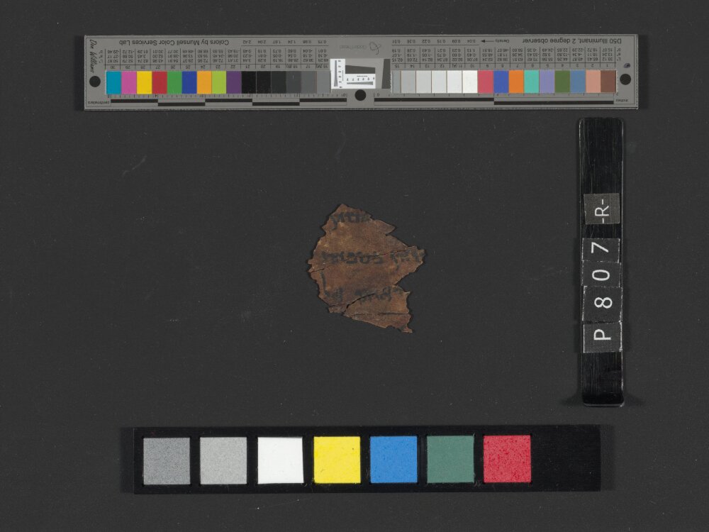 4Q Reworked Pentateuch c showing Leviticus 13:8 from c. 75–50 BC found in Qumran, Cave 4, currently housed at Rockefeller Museum, Jerusalem