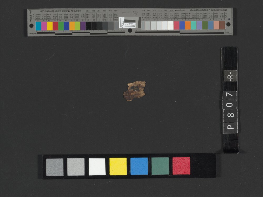 4Q Reworked Pentateuch c showing Leviticus 13:18 from c. 75–50 BC found in Qumran, Cave 4, currently housed at Rockefeller Museum, Jerusalem
