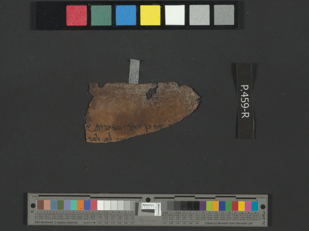 4Q Reworked Pentateuch c showing Genesis 21:10 from c. 75–50 BC found in Qumran, Cave 4, currently housed at Rockefeller Museum, Jerusalem