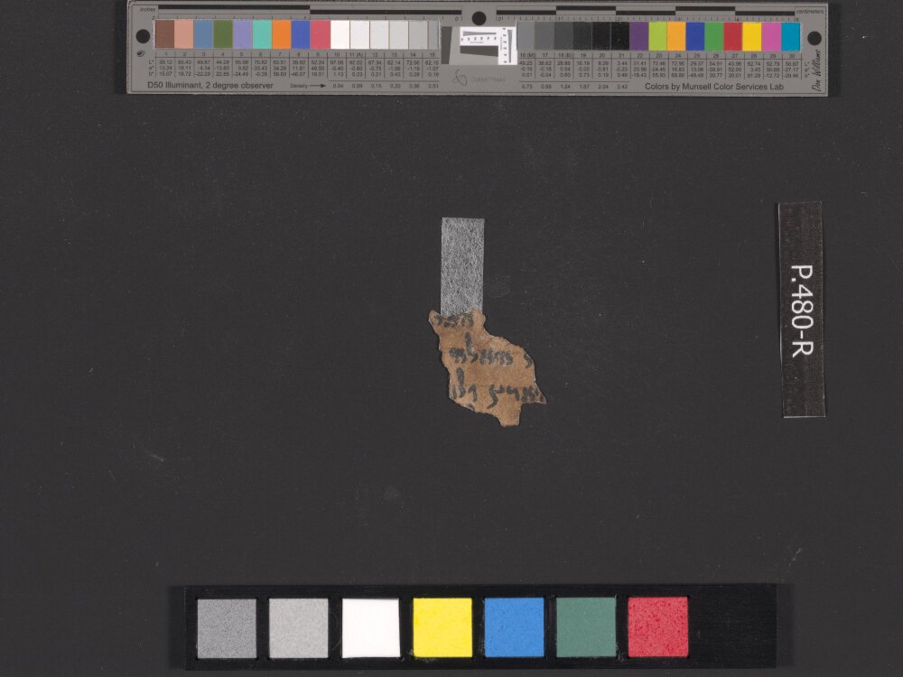 4Q Reworked Pentateuch c (Scan 1) showing Leviticus 18:28 from c. 75–50 BC found in Qumran, Cave 4, currently housed at Rockefeller Museum, Jerusalem