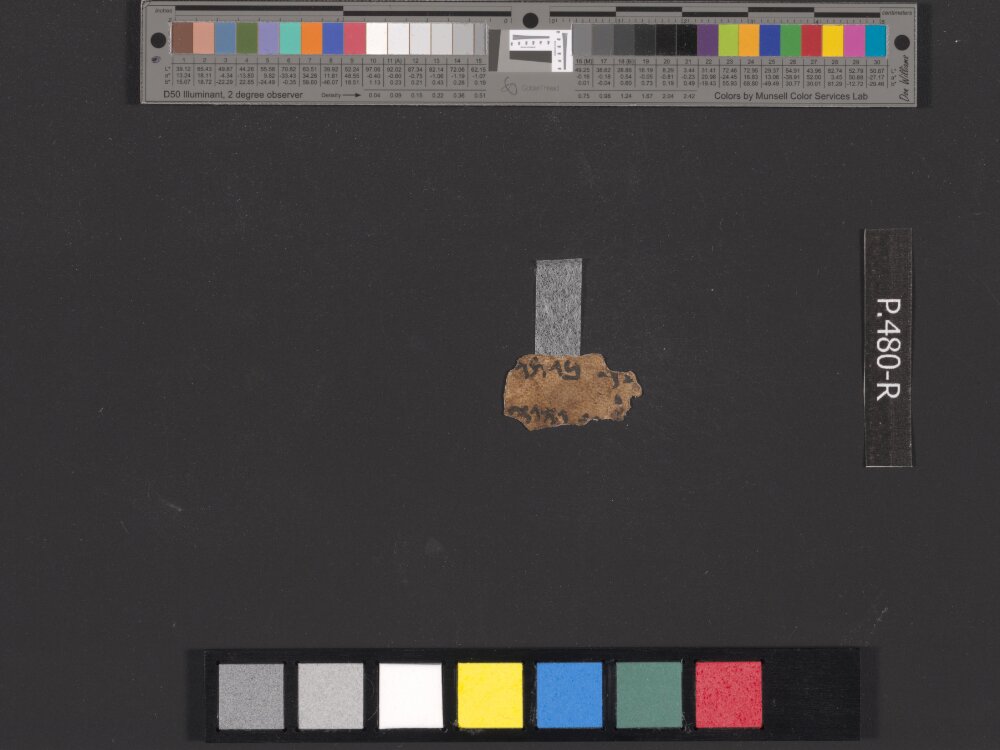 4Q Reworked Pentateuch c (Scan 3) showing Leviticus 18:28 from c. 75–50 BC found in Qumran, Cave 4, currently housed at Rockefeller Museum, Jerusalem