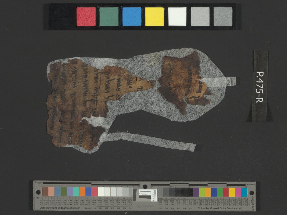 4Q Reworked Pentateuch c (Scan 1) showing Leviticus 26:21 from c. 75–50 BC found in Qumran, Cave 4, currently housed at Rockefeller Museum, Jerusalem