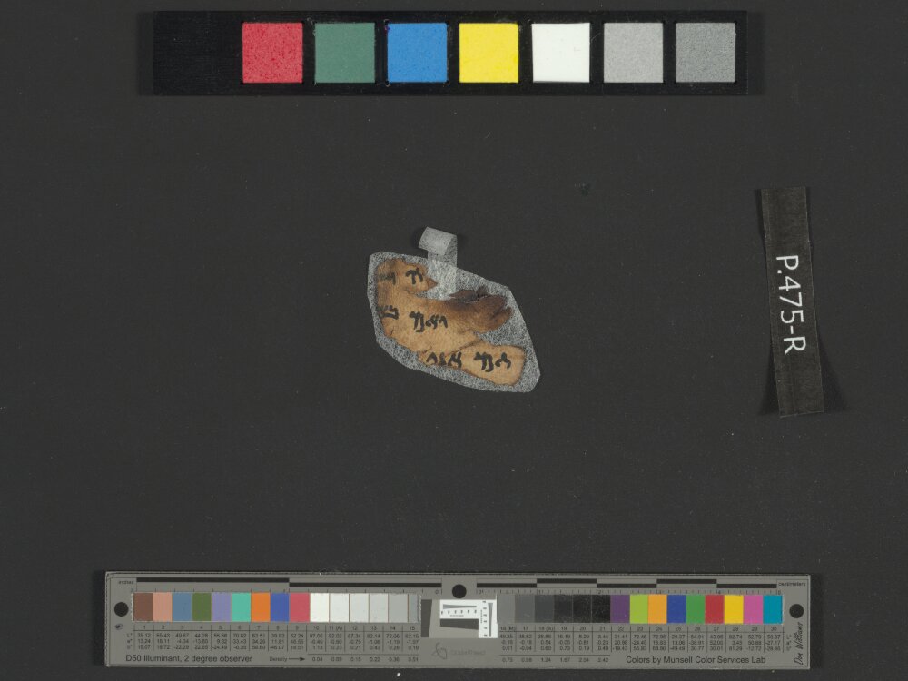 4Q Reworked Pentateuch c (Scan 2) showing Leviticus 26:21 from c. 75–50 BC found in Qumran, Cave 4, currently housed at Rockefeller Museum, Jerusalem