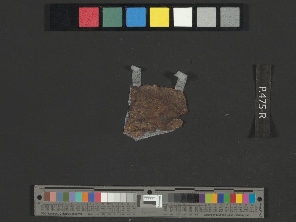 4Q Reworked Pentateuch c showing Numbers 8:12 from c. 75–50 BC found in Qumran, Cave 4, currently housed at Rockefeller Museum, Jerusalem