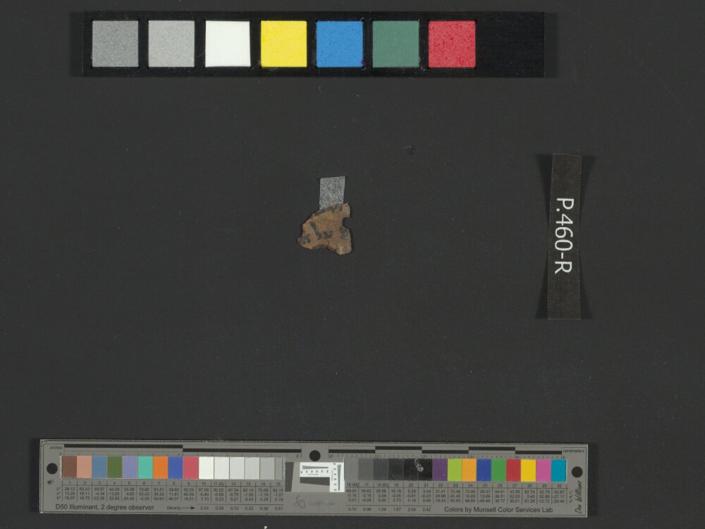 4Q Reworked Pentateuch c showing Numbers 13:30 from c. 75–50 BC found in Qumran, Cave 4, currently housed at Rockefeller Museum, Jerusalem