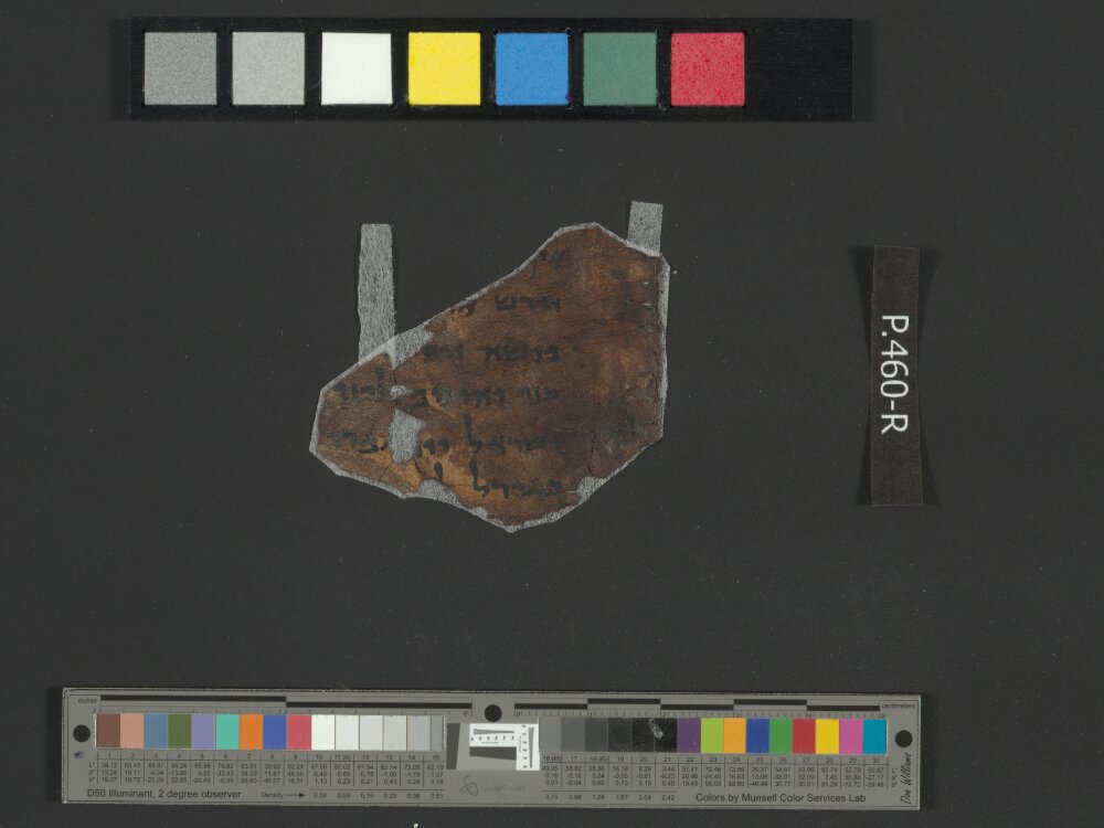 4Q Reworked Pentateuch c showing Numbers 36:2 from c. 75–50 BC found in Qumran, Cave 4, currently housed at Rockefeller Museum, Jerusalem