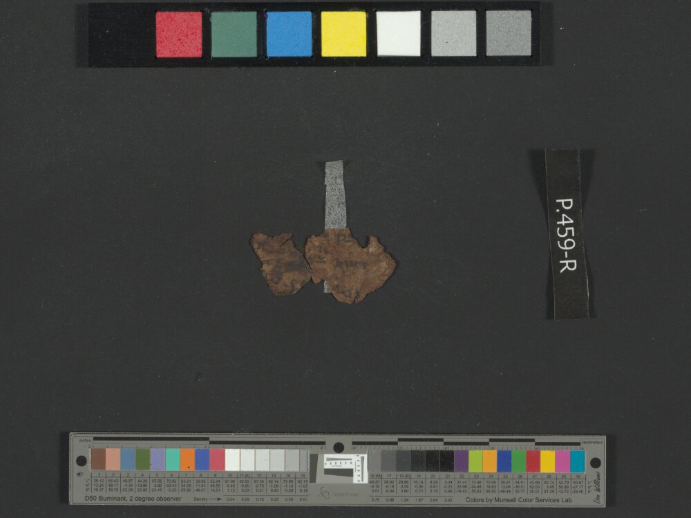 4Q Reworked Pentateuch c showing Exodus 9:10 from c. 75–50 BC found in Qumran, Cave 4, currently housed at Rockefeller Museum, Jerusalem