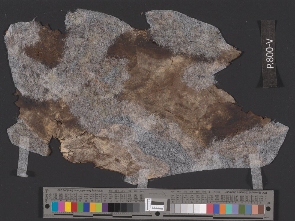 4Q Reworked Pentateuch c (Scan 1) showing Exodus 14:21 from c. 75–50 BC found in Qumran, Cave 4, currently housed at Rockefeller Museum, Jerusalem