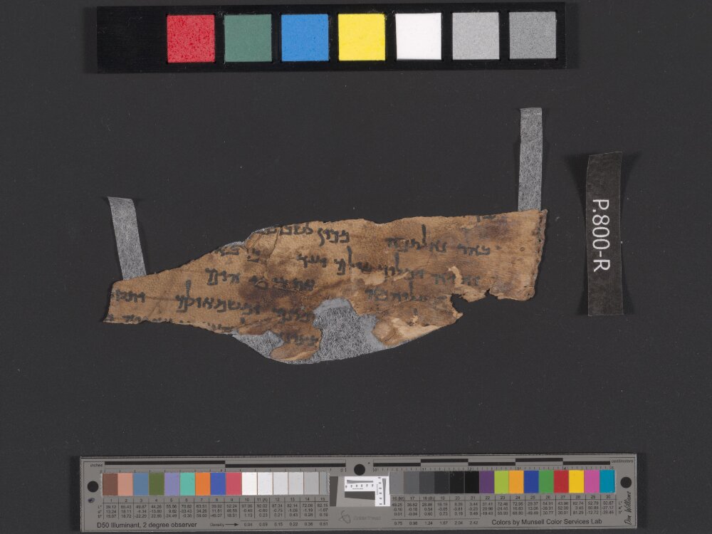 4Q Reworked Pentateuch c showing Exodus 15:18 from c. 75–50 BC found in Qumran, Cave 4, currently housed at Rockefeller Museum, Jerusalem