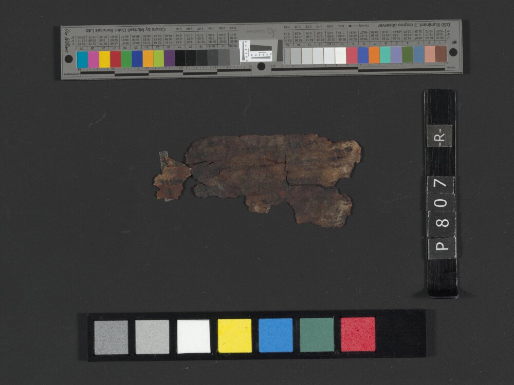 4Q Reworked Pentateuch c (Scan 2) showing Exodus 29:21 from c. 75–50 BC found in Qumran, Cave 4, currently housed at Rockefeller Museum, Jerusalem