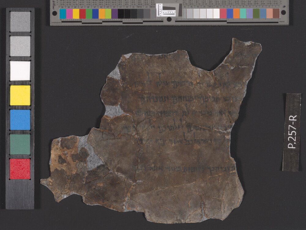 4Q Reworked Pentateuch d showing Numbers 29:39 from Second half of the 1st Century BC found in Qumran, Cave 4, currently housed at Rockefeller Museum, Jerusalem
