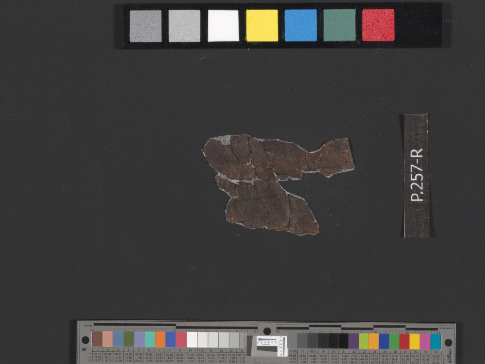 4Q Reworked Pentateuch d showing Deuteronomy 14:21 from Second half of the 1st Century BC found in Qumran, Cave 4, currently housed at Rockefeller Museum, Jerusalem