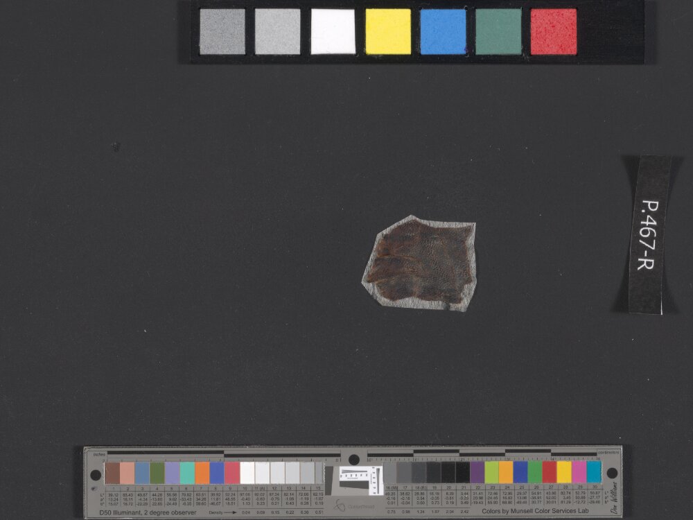 4QReworked Pentateuch e showing Leviticus 13:1 from Late 2nd Century BC - Mid-1st Century BC found in Qumran, Cave 4, currently housed at Rockefeller Museum, Jerusalem