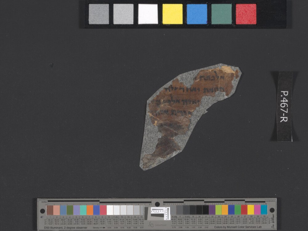 4QReworked Pentateuch e showing Leviticus 12:2 from Late 2nd Century BC - Mid-1st Century BC found in Qumran, Cave 4, currently housed at Rockefeller Museum, Jerusalem