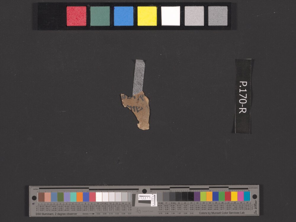 4QDeut(j) showing Exodus 13:2 from Mid-1st Century AD (c. 50–68 AD) found in Qumran, Cave 4, currently housed at Rockefeller Museum, Jerusalem