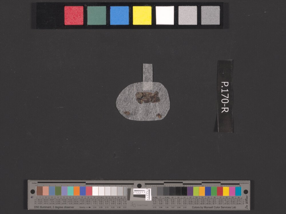 4QDeut(j) showing Deuteronomy 6:2 from Mid-1st Century AD (c. 50–68 AD) found in Qumran, Cave 4, currently housed at Rockefeller Museum, Jerusalem