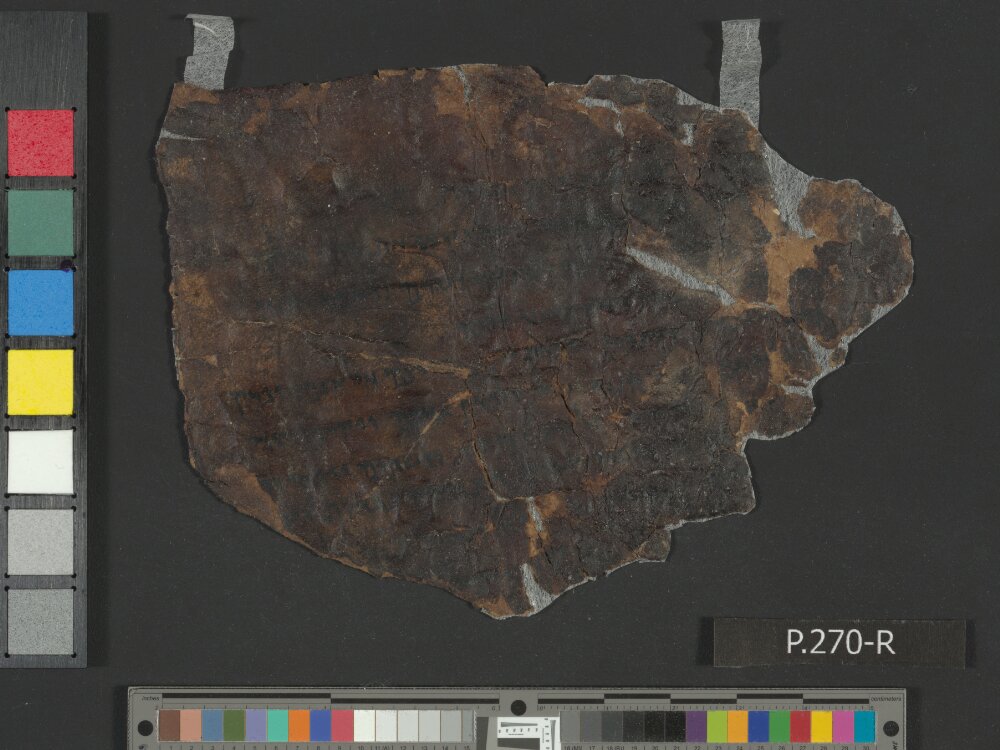 Pseudo-Ezekiel (4Q385, 4Q385b, 4Q385c, 4Q386, 4Q388, 4Q391) (Scan 1) showing Ezekiel 37:3 from Mid-2nd Century BC – Late 1st Century BC found in Qumran, Cave 4, currently housed at Rockefeller Museum, Jerusalem