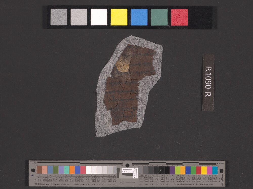 4QDeut(k2) (Scan 2) showing Deuteronomy 19:9 from Late 1st Century BC (c. 30–1 BC) found in Qumran, Cave 4, currently housed at Rockefeller Museum, Jerusalem