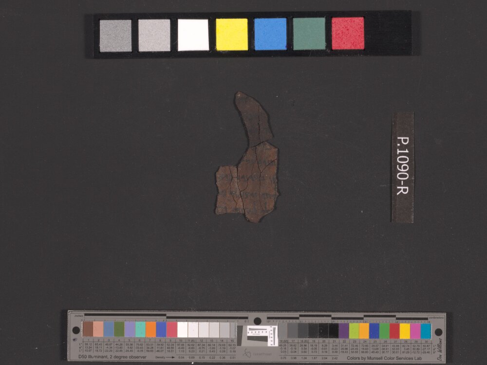 4QDeut(k2) showing Deuteronomy 24:2 from Late 1st Century BC (c. 30–1 BC) found in Qumran, Cave 4, currently housed at Rockefeller Museum, Jerusalem