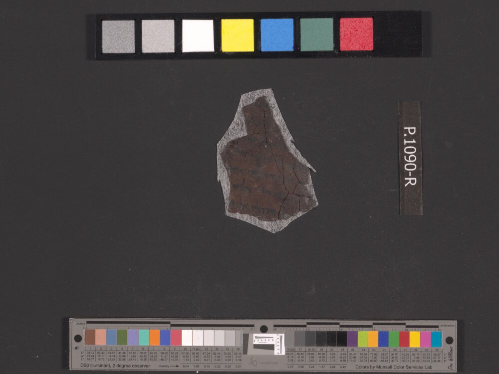 4QDeut(k2) showing Deuteronomy 26:2 from Late 1st Century BC (c. 30–1 BC) found in Qumran, Cave 4, currently housed at Rockefeller Museum, Jerusalem