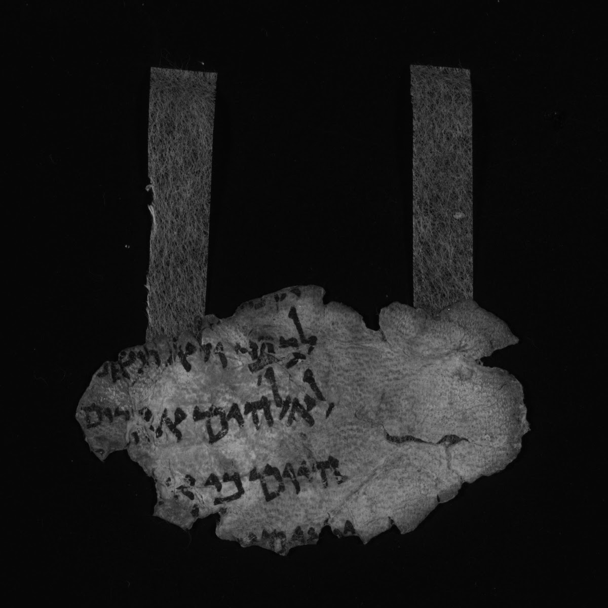 4QDeuteronomy k3 (4QDeutᵏ³) showing Deuteronomy 30:18 from Mid-1st Century AD (c. 50–68 AD) found in Qumran, Cave 4, currently housed at Rockefeller Museum, Jerusalem