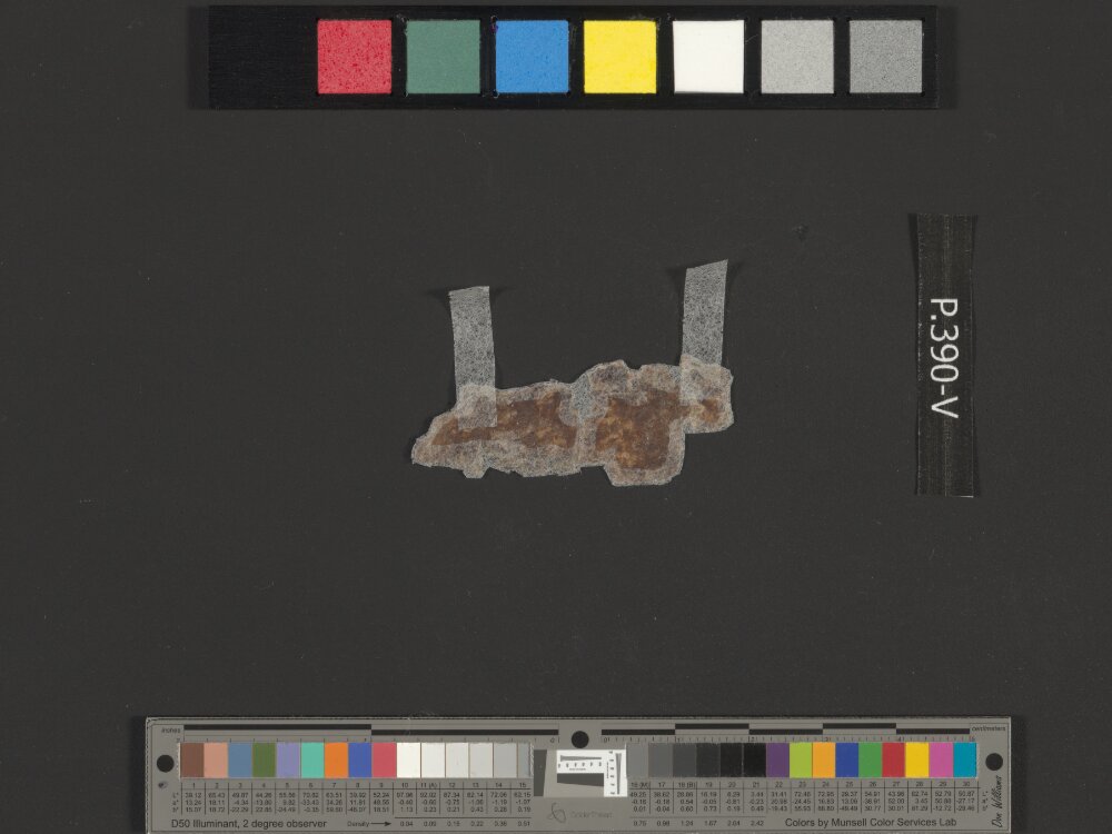 4Q Deuteronomy (l) (Scan 2) showing Deuteronomy 34:4 from c. 50–30 BC found in Qumran, Cave 4, currently housed at Rockefeller Museum, Jerusalem