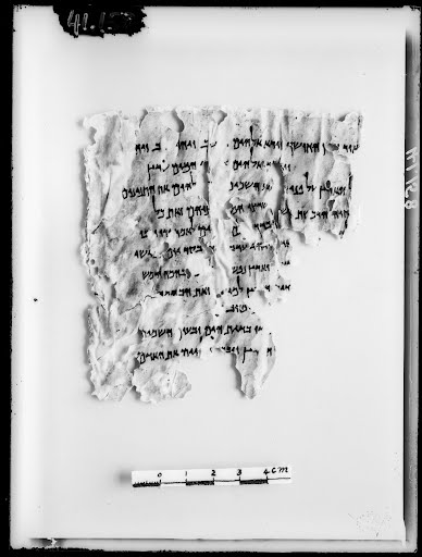 4QGenesis d (4QGenᵈ) (Scan 2) showing Genesis 1:21 from Mid-1st Century BC found in Qumran, Cave 4, currently housed at Rockefeller Museum, Jerusalem
