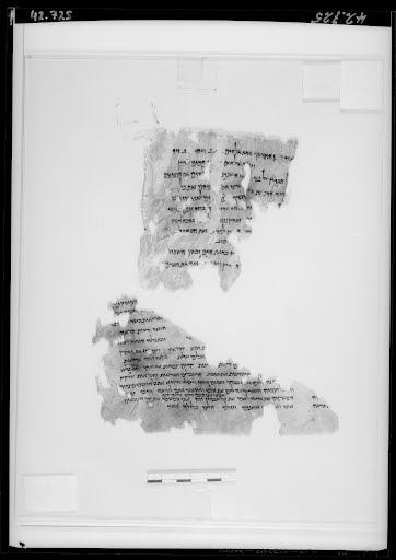 4QGenesis d (4QGenᵈ) (Scan 4) showing Genesis 1:21 from Mid-1st Century BC found in Qumran, Cave 4, currently housed at Rockefeller Museum, Jerusalem