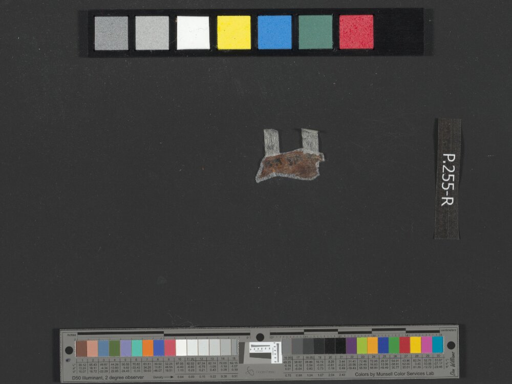 4Q Deuteronomy m showing Deuteronomy 3:22 from Late 1st Century BC found in Qumran, Cave 4, currently housed at Rockefeller Museum, Jerusalem