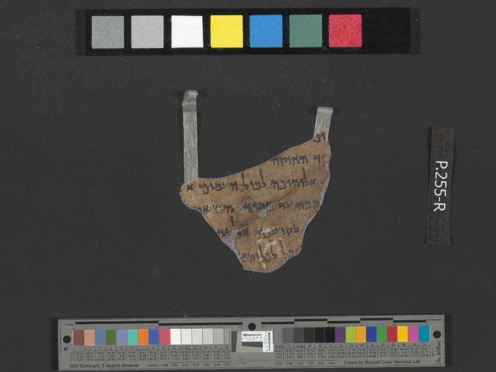 4Q Deuteronomy m showing Deuteronomy 7:21 from Late 1st Century BC found in Qumran, Cave 4, currently housed at Rockefeller Museum, Jerusalem