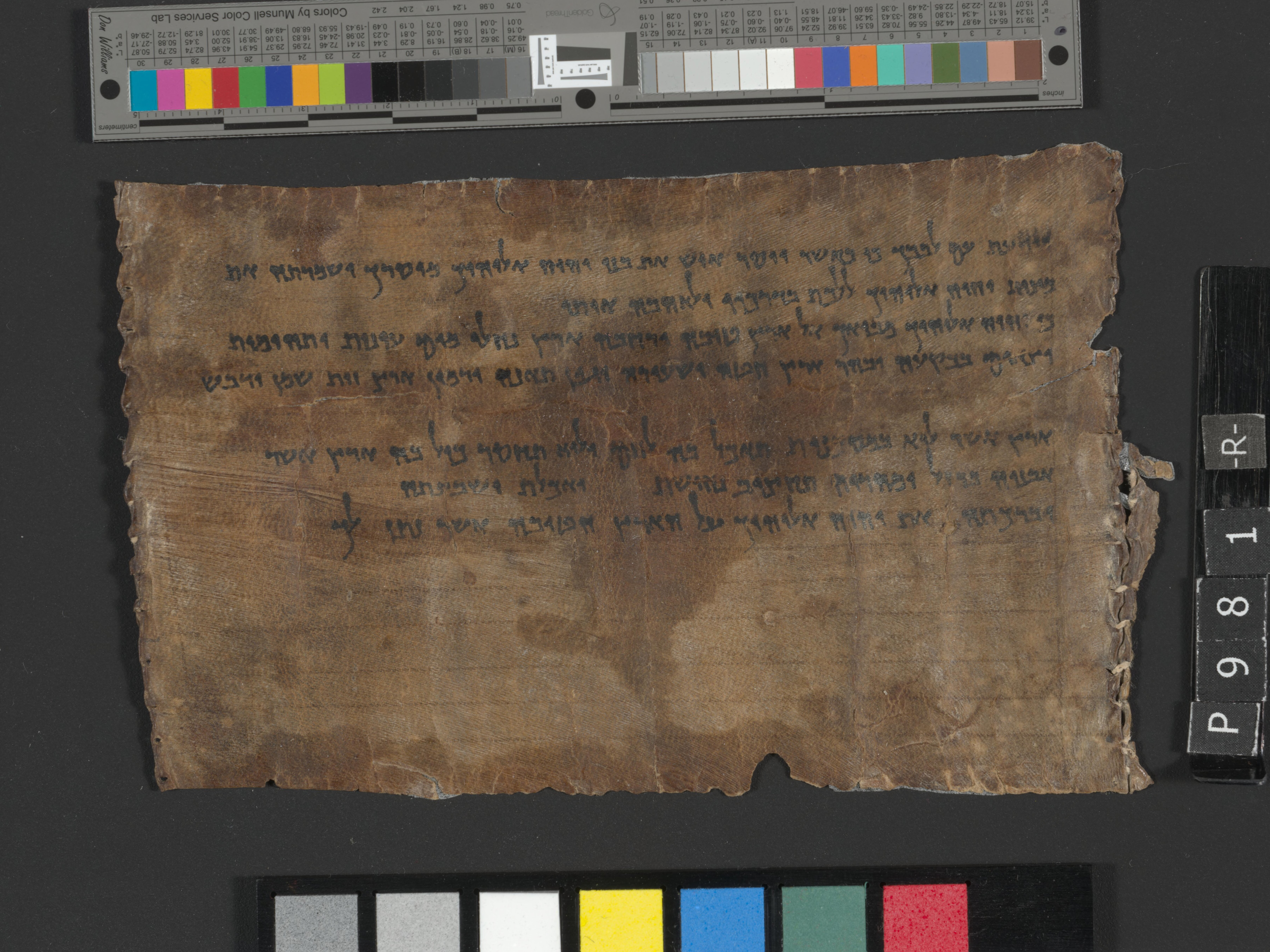 All Souls Deuteronomy (4QDeutⁿ) showing Deuteronomy 8:9 from Late 1st Century BC (c. 30–1 BC) found in Qumran, Cave 4, currently housed at Israel Antiquities Authority, Jerusalem