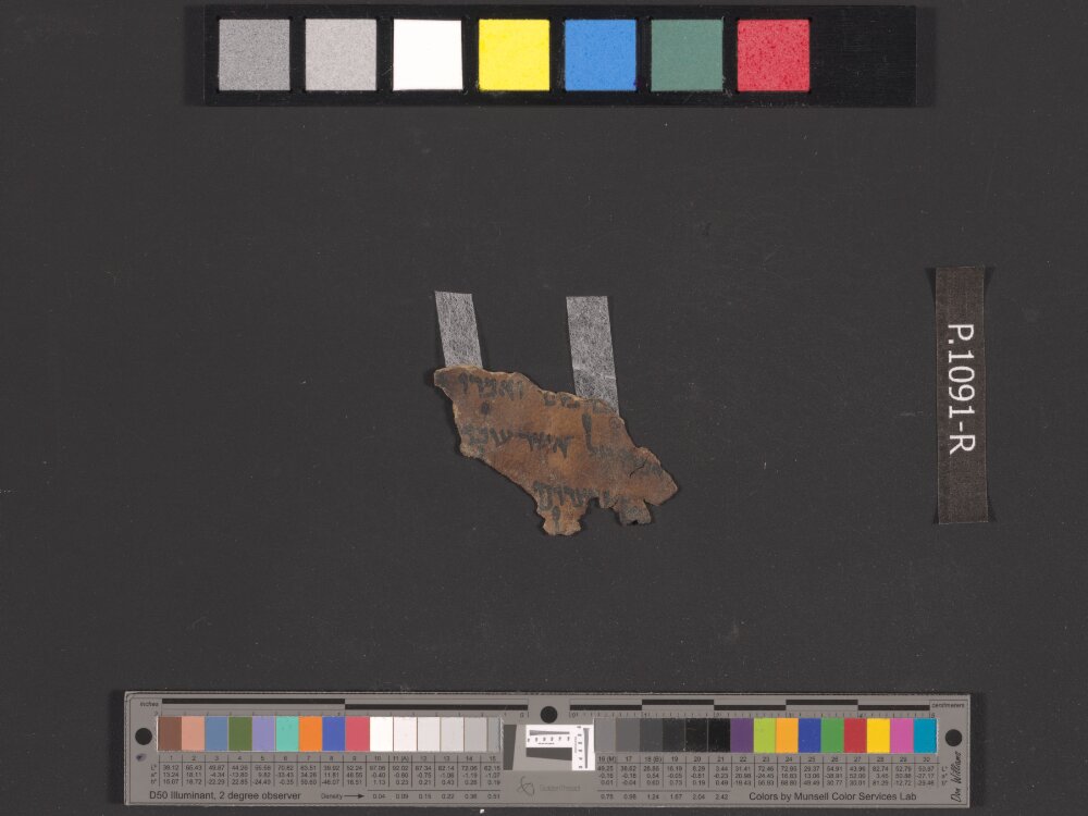 4Q Deuteronomy (4QDeutᵒ) showing Deuteronomy 29:23 from Late Hasmonean (c. 75–50 BC) found in Qumran, Cave 4, currently housed at Rockefeller Museum, Jerusalem