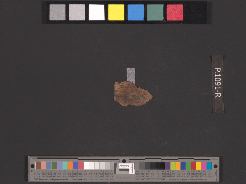 4Q Deuteronomy (4QDeutᵒ) showing Deuteronomy 5:17 from Late Hasmonean (c. 75–50 BC) found in Qumran, Cave 4, currently housed at Rockefeller Museum, Jerusalem